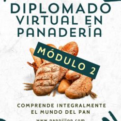 Módulo 2 - Diplomado virtual de panadería