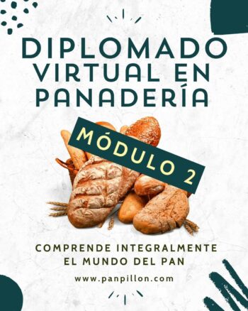 Módulo 2 - Diplomado virtual de panadería