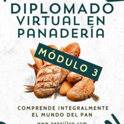 Módulo 3 - Diplomado virtual de panadería